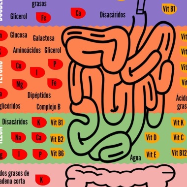 Nutricionista De Centro Médico La Araucana