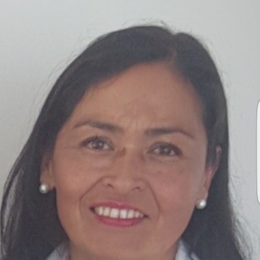 Auxiliar De Limpieza