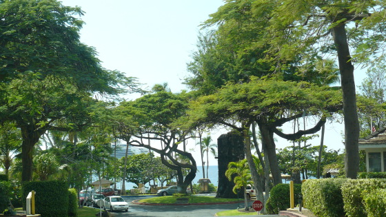 Sur Place/ Mis en valeur de bien immobilier