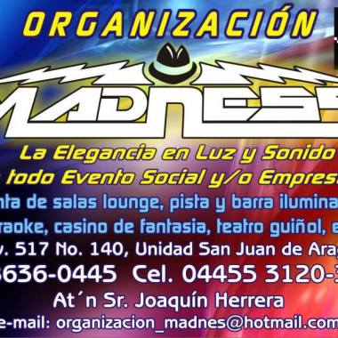 Organizacion Madness