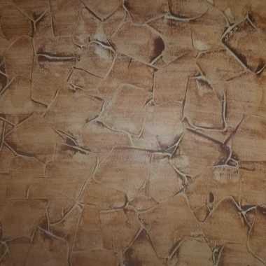 Jhonatan Pinturas