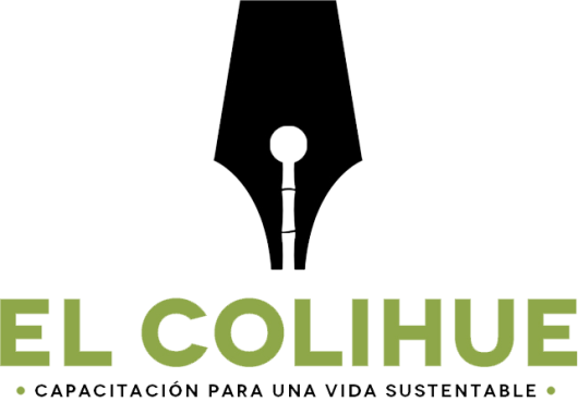 Psicólogo Clinico