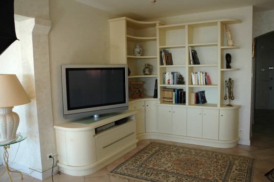 Meuble salon bibliothèque