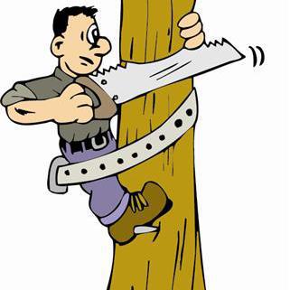 Arbres Verts Outters