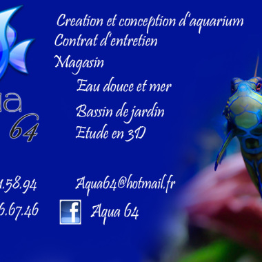 Aqua64