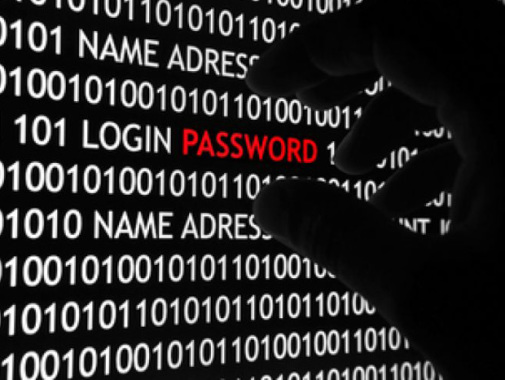 Conseil en sécurité informatique, lutte contre la cybercriminalité