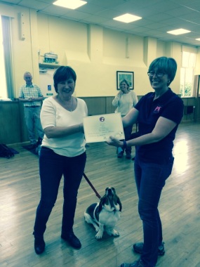 Kennel Club Good Citizen Silver award ! Very proud owner! 