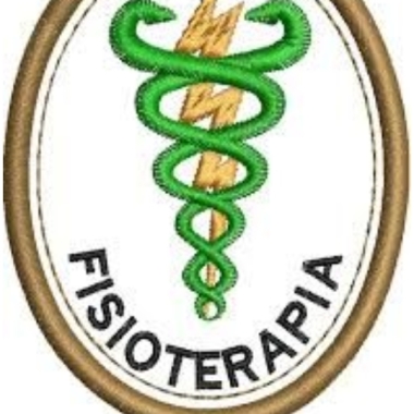 Fisioterapeuta