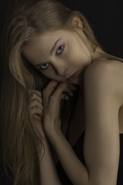 Model book