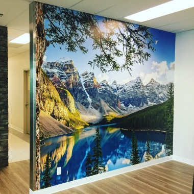 Wall Murals