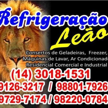 Refrigeração Leão
