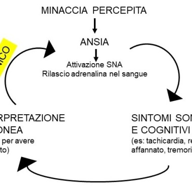 Gina Pelle Psicologa Psicoterapeuta
