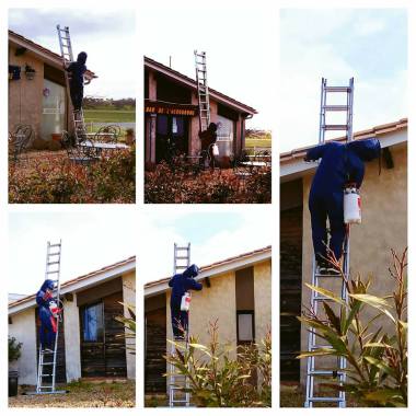Destruction d'un nid de guêpes en toiture.