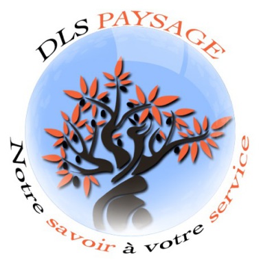 Dls Paysage