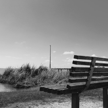 Bf Photography