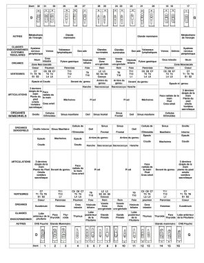 Traduction en Français d'une Charte Dentaire Dents-Méridiens-Organes.Le document original du dentiste Dr Farid SHODJAEE d'Ottawa,Canada,est à:
http://www.drfarid.com/chart.html