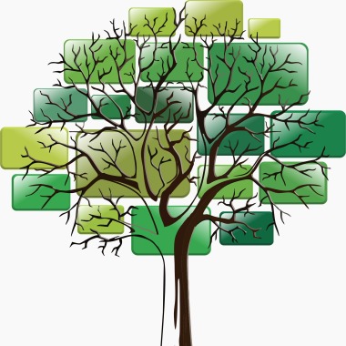 Genealogia Na Prática