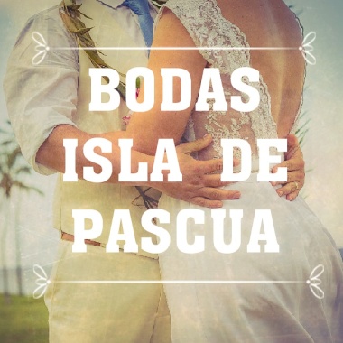 @organizamostuviajetuboda
