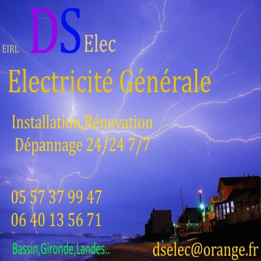 Eirl Ds Elec