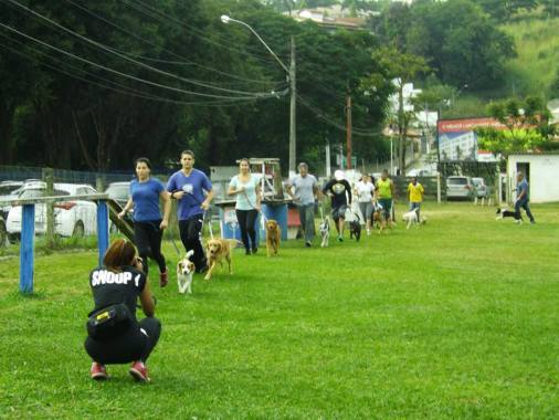 -Agility-