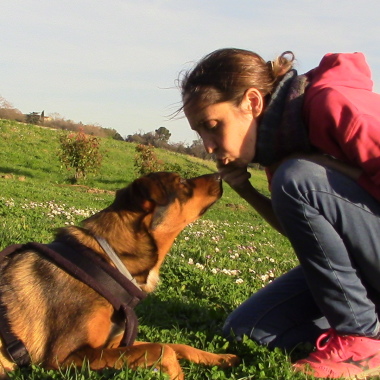 Canis-Felis & Co