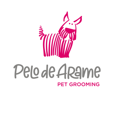 Pelo De Arame