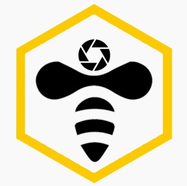 Beeartmedia