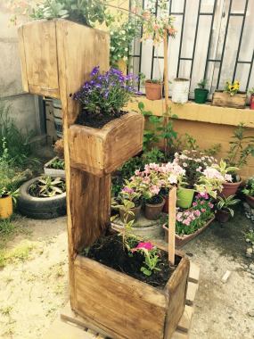 multimaceteros en madera