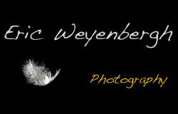 Eric Weyenbergh