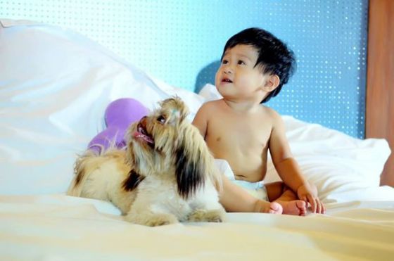 Photo shoot for 1st Birthday