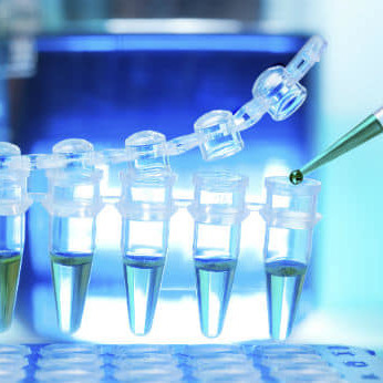 Sgs Terapias Biomedicas Alternativas