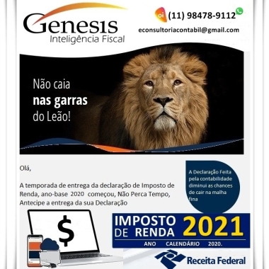 Efeito Consultoria Contábil Eirelli