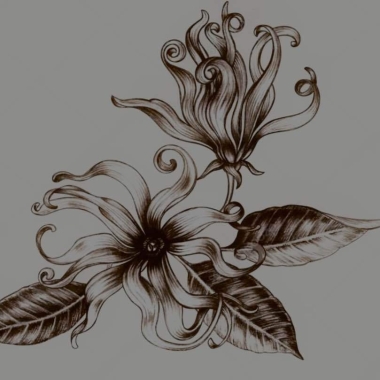 Ali Zaidou(Ylang Paysage)