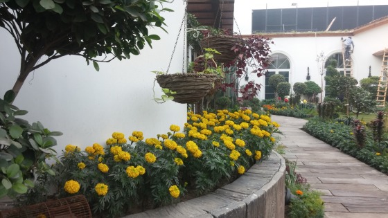 Residential 