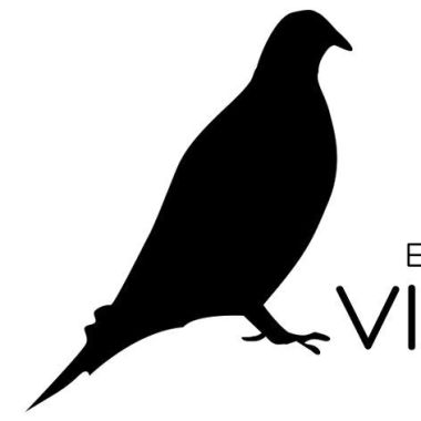 Estúdio Virtus