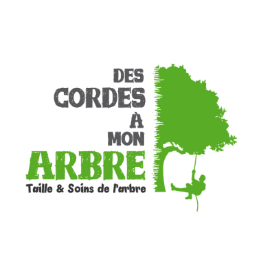 Des Cordes A Mon Arbre