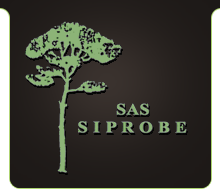 Siprobé