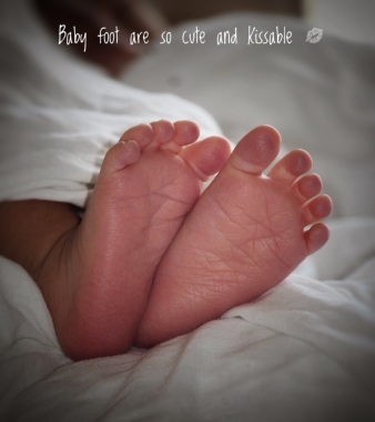 Baby Photoshoot 