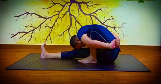 Sadhak Anshit Yoga