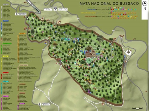 Mata da Mata Nacional do Bussaco