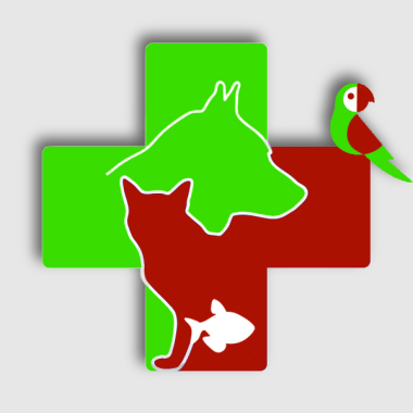 Clínica Animal