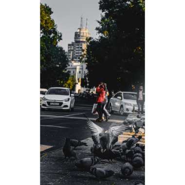 Life is street