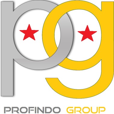 Profindo Group