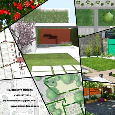 Msc Landscape