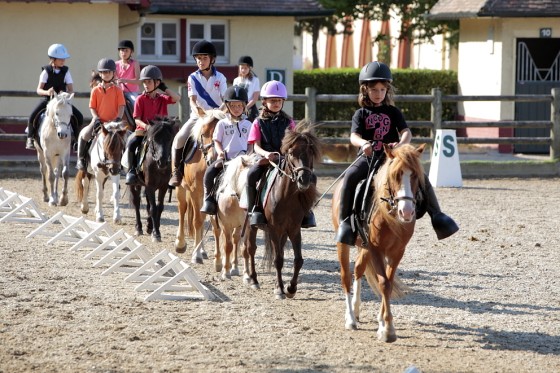 Découverte de l'équitation _ Centre équestre du Touquet-Paris-Plage.
http://www.letouquet.com/