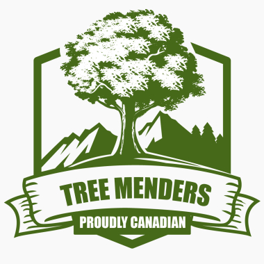 Tree Menders Of Markham