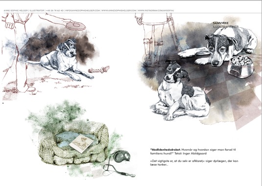 Kunde: Samvirke. Magasinillustration. Din hund. 