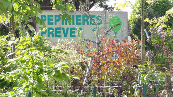 Prévet Paysages Et Pépinières
