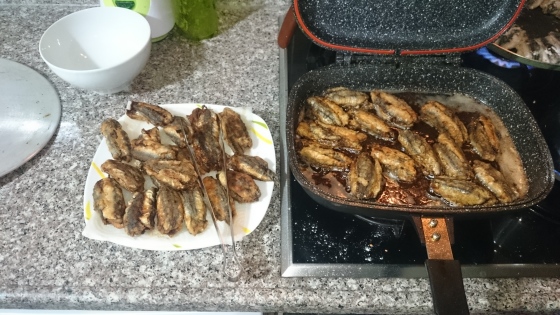 Hamsikuşu