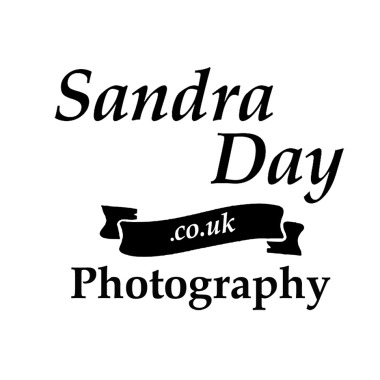 Sandra Day